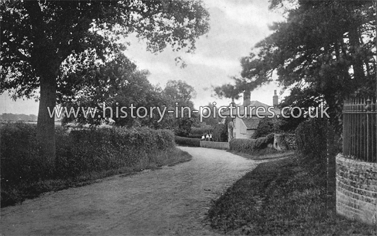 The Village, Great Leighs, Essex. c.1905
